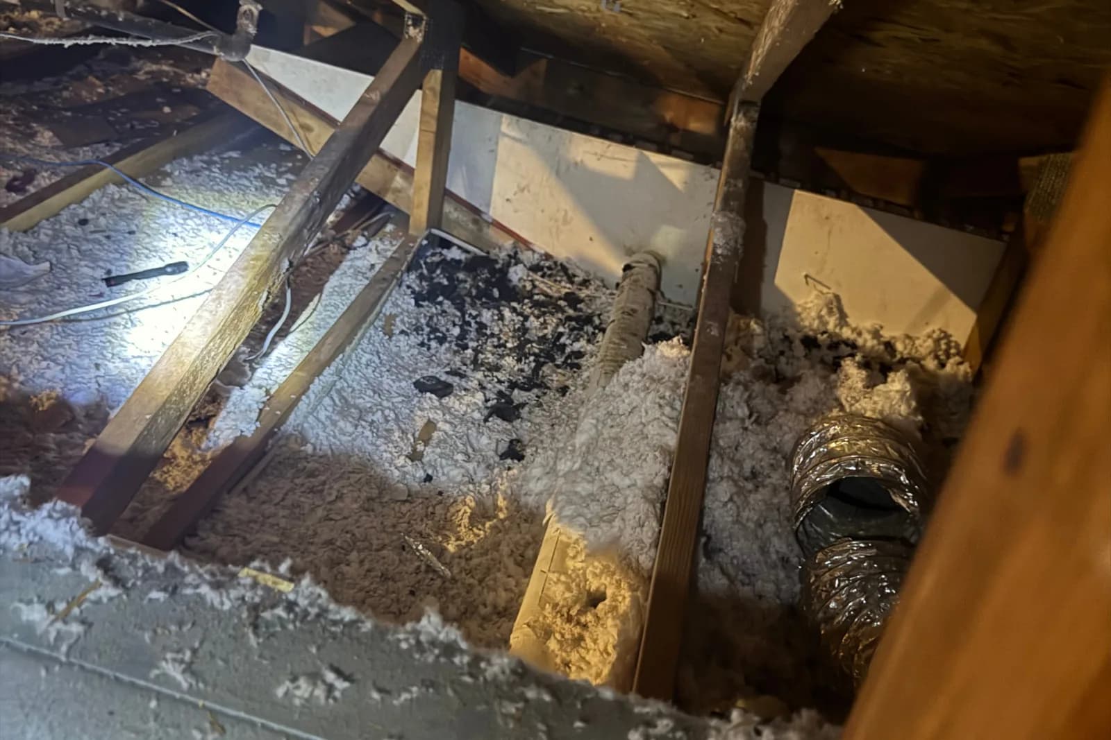 Attic contaminated by wildlife activity — insulation debris, droppings, and damaged ductwork